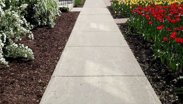 Cost of Sidewalk Slab Replacement in Kirkland