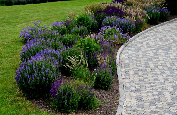 Cost of Sidewalk Curb Installation in Kirkland