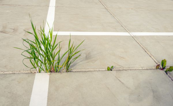 Concrete Parking Installation in Kirkland