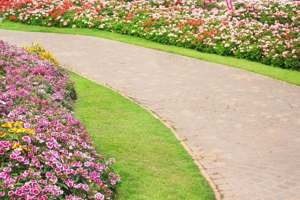Cost of Concrete Walkway Service in Kirkland