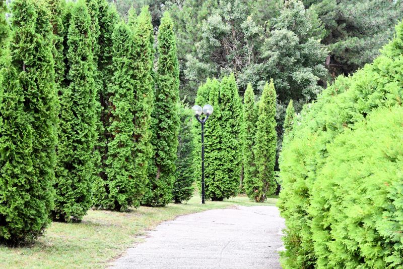 Concrete Path Service